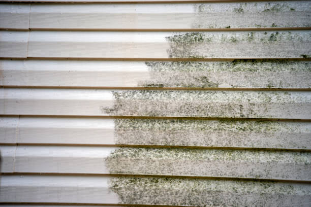 Best Residential Vinyl Siding Installation  in Silver Lake, OH